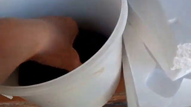 Как перезимовало мое денежное дерево.Неожиданные всходы.Спасение. España.Madrid. смотреть онлайн