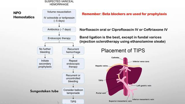 Hepatology in Brief смотреть онлайн