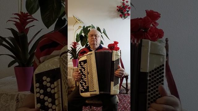 Полевые незабудки. смотреть онлайн