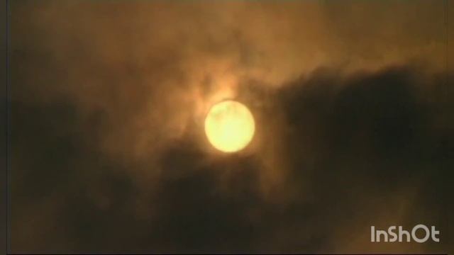 ЖИЗНЬ ДУШИ - ЕСТЬ ДУХ БОЖИЙ.. ДУХОВНАЯ АЗБУКА СВЯТЫХ ОТЦОВ.. смотреть онлайн