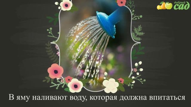 Строительные Ремесла