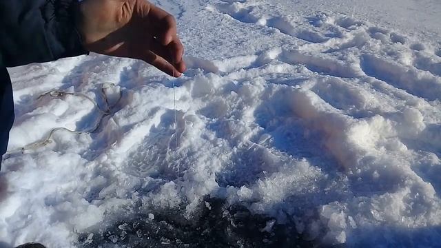 Гусиное озеро 13 02 20 смотреть онлайн