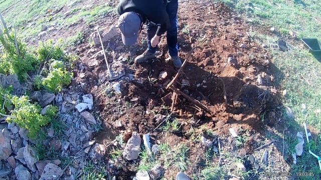 Металлокоп тест клон пи ви смотреть онлайн