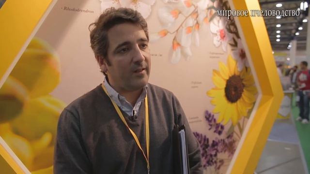 Конъюктура мирового рынка меда Сант Яго смотреть онлайн