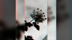 Она кричит звезде помоги.🌈🎀🔮 Но это не её забота:-🌹🎀💫🌈