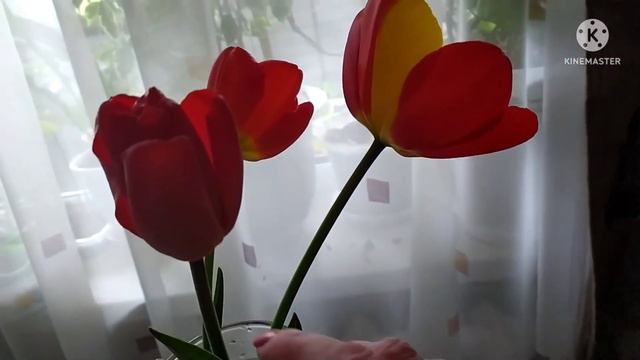 Движение-ЖИЗНЬ!!! смотреть онлайн