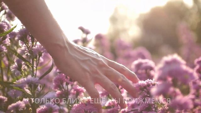 Цветы. С любовью о любви. Василий Лемехов. смотреть онлайн