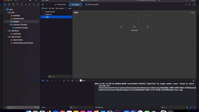 Working with Assets Image in SwiftUI (Swift) смотреть онлайн