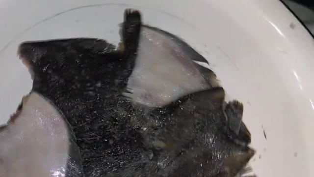 Засолка рыбы и икры в домашних условиях