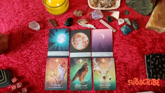 ORACLE OF THE DAY YOU HAVE TO OWN WHO YOU ARE! YOUR LUCK IS CHANGING! TIMELESS TAROT READING смотреть онлайн