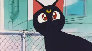 Наталья Ветлицкая - Лунный кот (?????? + ??????)