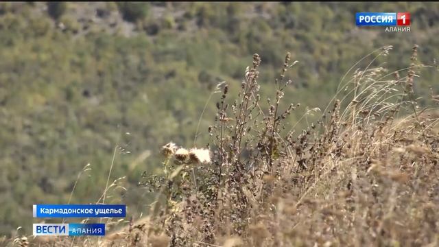 20 лет трагедии в Кармадонском ущелье смотреть онлайн