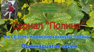 11-я серия - Полина на новом месте в Новом свете