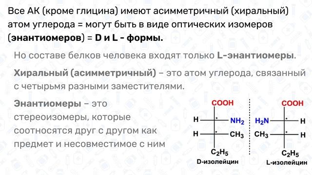 БЕЛКИ: строение, функции, классификация, аминокислоты / Биохимия смотреть онлайн