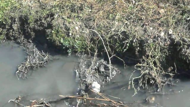 Остановит ли кто-то это безобразие?! смотреть онлайн