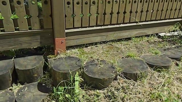 п. Борисоглебский 2021. Монастырь. смотреть онлайн