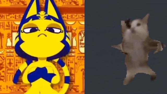 Битбокс батл кота Шнапи и Зоны Анхи смотреть онлайн