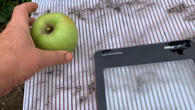 Яблоня Кримсон Крисп и Грин Стар смотреть онлайн