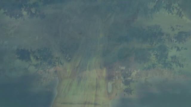 Светоч - Время Ведать смотреть онлайн