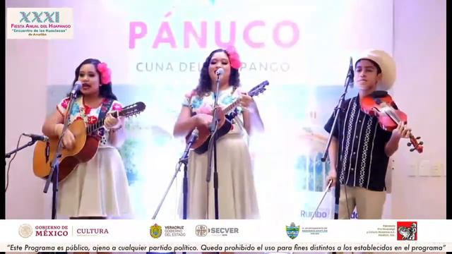 Pánuco En La Fiesta Del Huapango De Amatlán