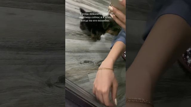 Самый милый тренд 🩷 смотреть онлайн