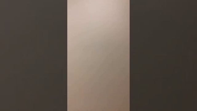 Студия 14кв м смотреть онлайн