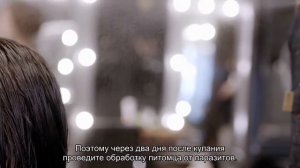 Как вывести блох у щенка?