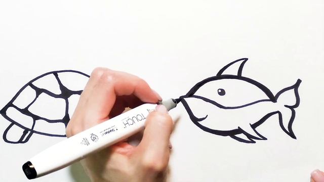 How To Draw A Turtle | How To Draw A Fish ★ Coloring Pages And Drawing For Beginners