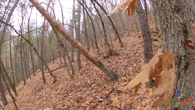 ЦРФ 450-Цял ден каране | Много кеф, но с цена! смотреть онлайн