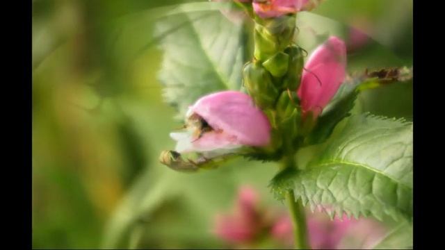 Кулинарные Мастер-Классы