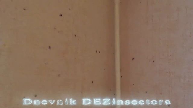 Встречают с порога смотреть онлайн
