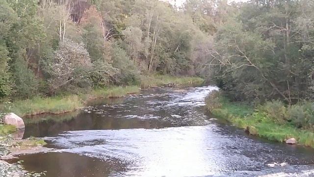 Город Холм Новгородской области смотреть онлайн