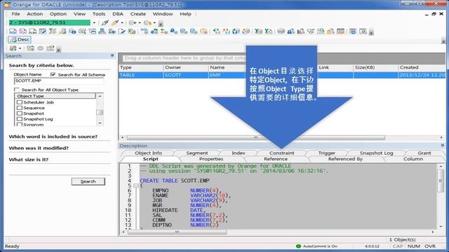 Orange for Oracle 6.0 Guide 第四部分 - 加强检索功能的Description Tool смотреть онлайн