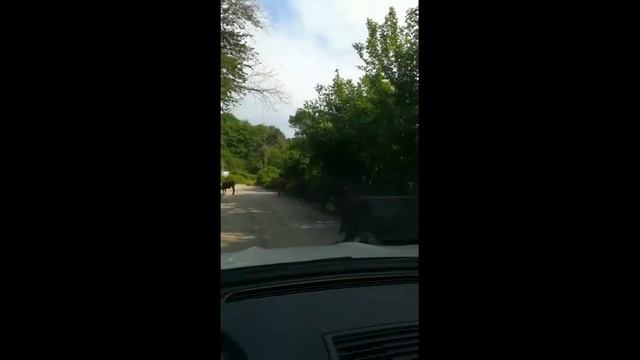 Абхазия в мае смотреть онлайн