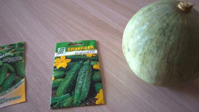 Лучшие сорта огурцов 2020 смотреть онлайн