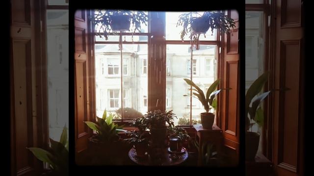 April Sunday sunny afternoon, houseplants North facing window смотреть онлайн