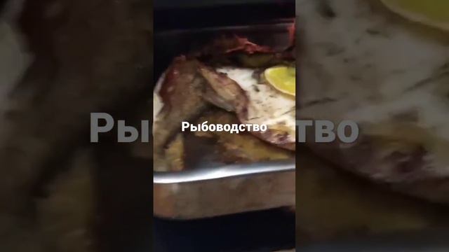 рыбоводство это тожэ жизнь Технопланктон СК смотреть онлайн