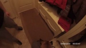 Бурбуль охрана дома, подготовка. Boerboel