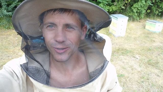 Маточное молочко. Как не перебрать?