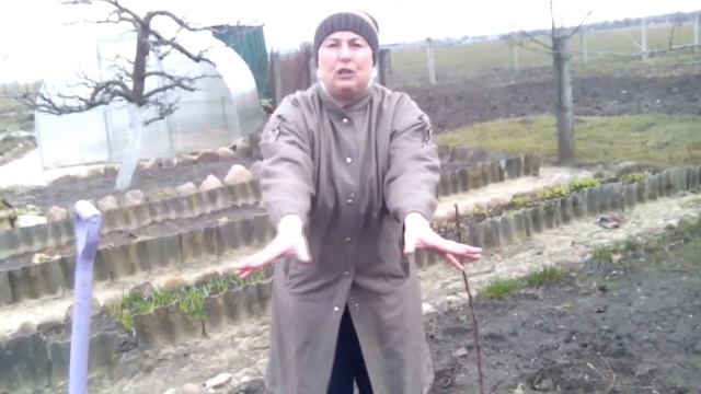 Посадка деревьев - как избежать ошибок смотреть онлайн