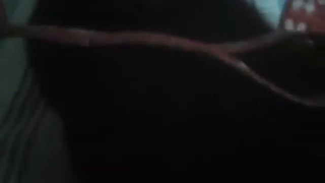 Как одеть шлейку на кота смотреть онлайн