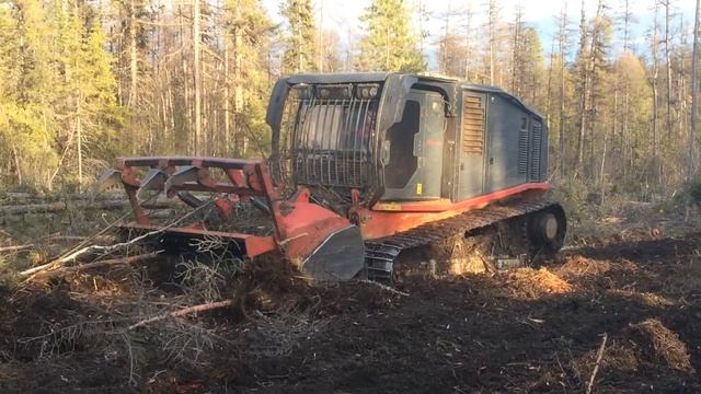 Самоходный мульчер PRINOTH AHWI RAPTOR 800 в работе