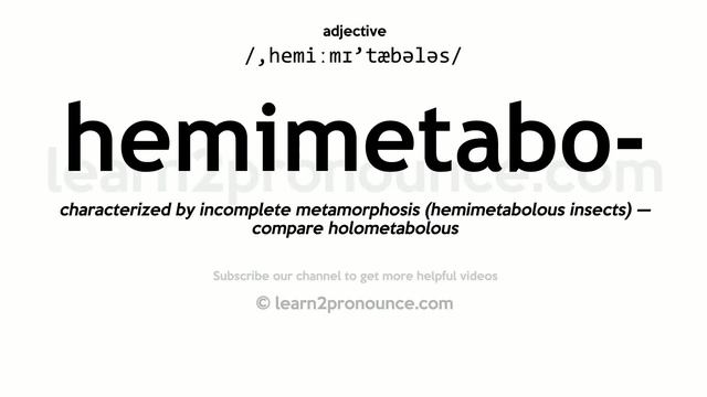 Pronunciation of Hemimetabolous | Definition of Hemimetabolous смотреть онлайн