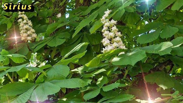 В какой день недели рождаются огромные везунчики смотреть онлайн