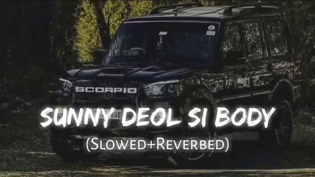 Sunny Deol Si Body | (Slow+Reverbed)|