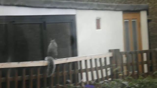 Fujifilm finepix S3400 video test 2 смотреть онлайн