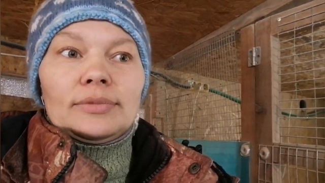 обзор хозяйства и планы на лето смотреть онлайн