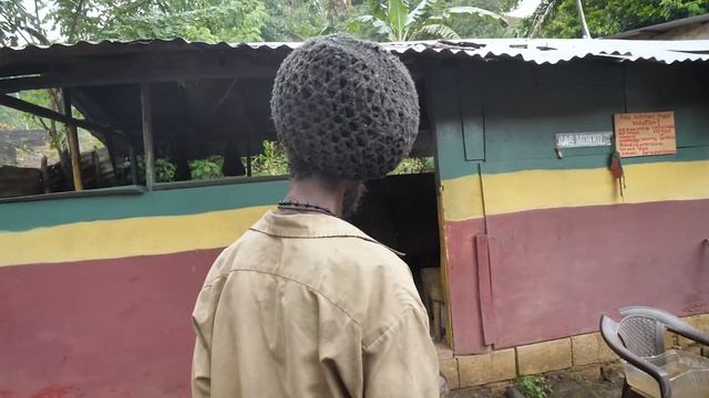 Baby Barracuda Breadfruit Bonanza! смотреть онлайн