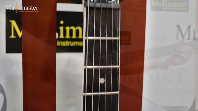 JACKSON JS22 SC MONARKH TBK смотреть онлайн