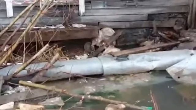 Город Салехард Нашествие крыс. Улица Восход 5.06.18.